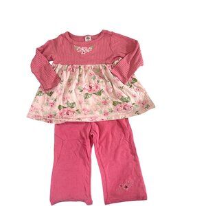 Gerber Toddler Girls 18M 2 Piece Pink Floral Long-Sleeve Top & Pants Set